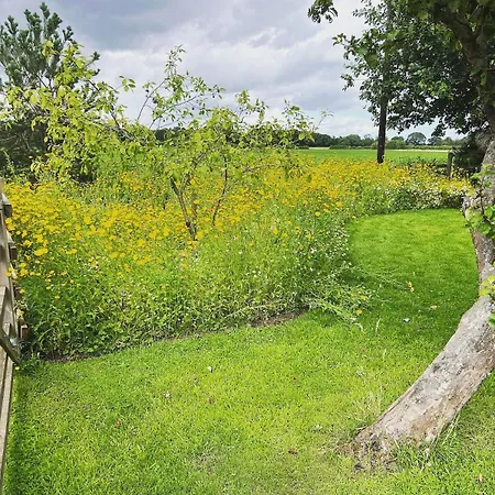 Pear Tree *