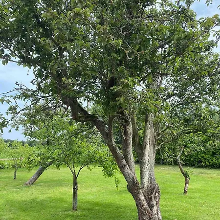 Pear Tree Dom wakacyjny