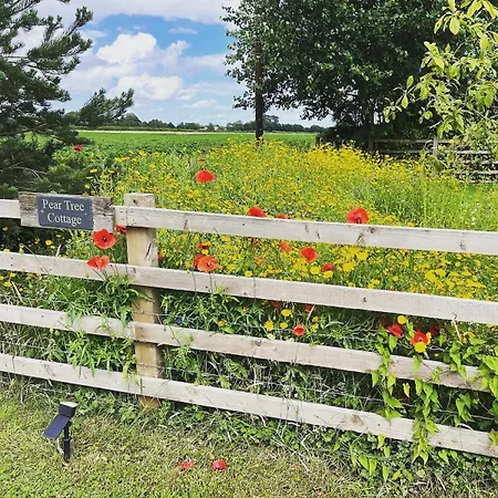 Tatil Evi Pear Tree *