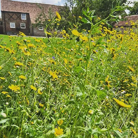 Pear Tree Tatil Evi York