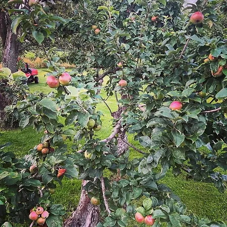 Dom wakacyjny Pear Tree